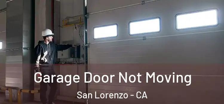  Garage Door Not Moving San Lorenzo - CA
