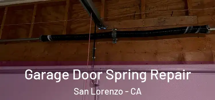  Garage Door Spring Repair San Lorenzo - CA