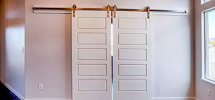 Glass Barn Door with Installation Hardware Kit San Lorenzo