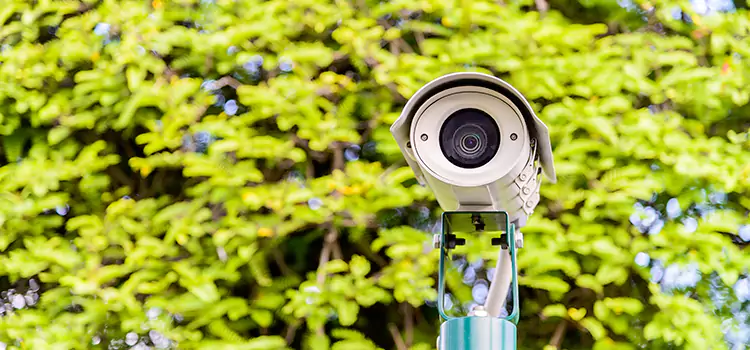 Advanced Surveillance Solutions for Every Need in San Lorenzo
