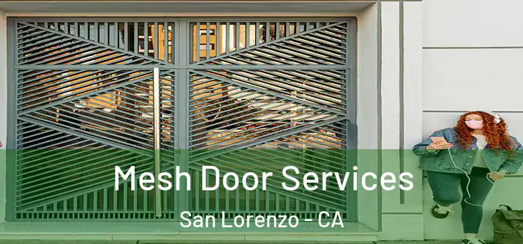  Mesh Door Services San Lorenzo - CA